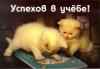 Аватар пользователя Сергей-Тимур